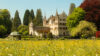 Bocelli Immobilien: Schloss Seeburg
